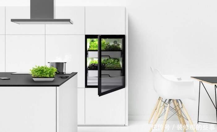 种菜|橱柜里也能种菜?煮泡面直接抓一把青菜下去,将橱柜空1格就行!