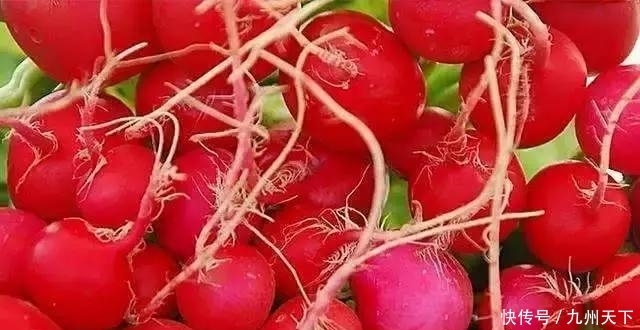 作用|高尿酸别怕,多吃6种天然的降尿酸食物,痛风不缠身