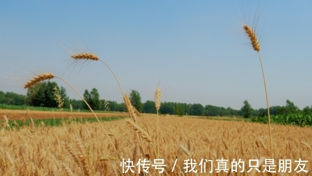 盾牌@智者深藏,愚者炫耀