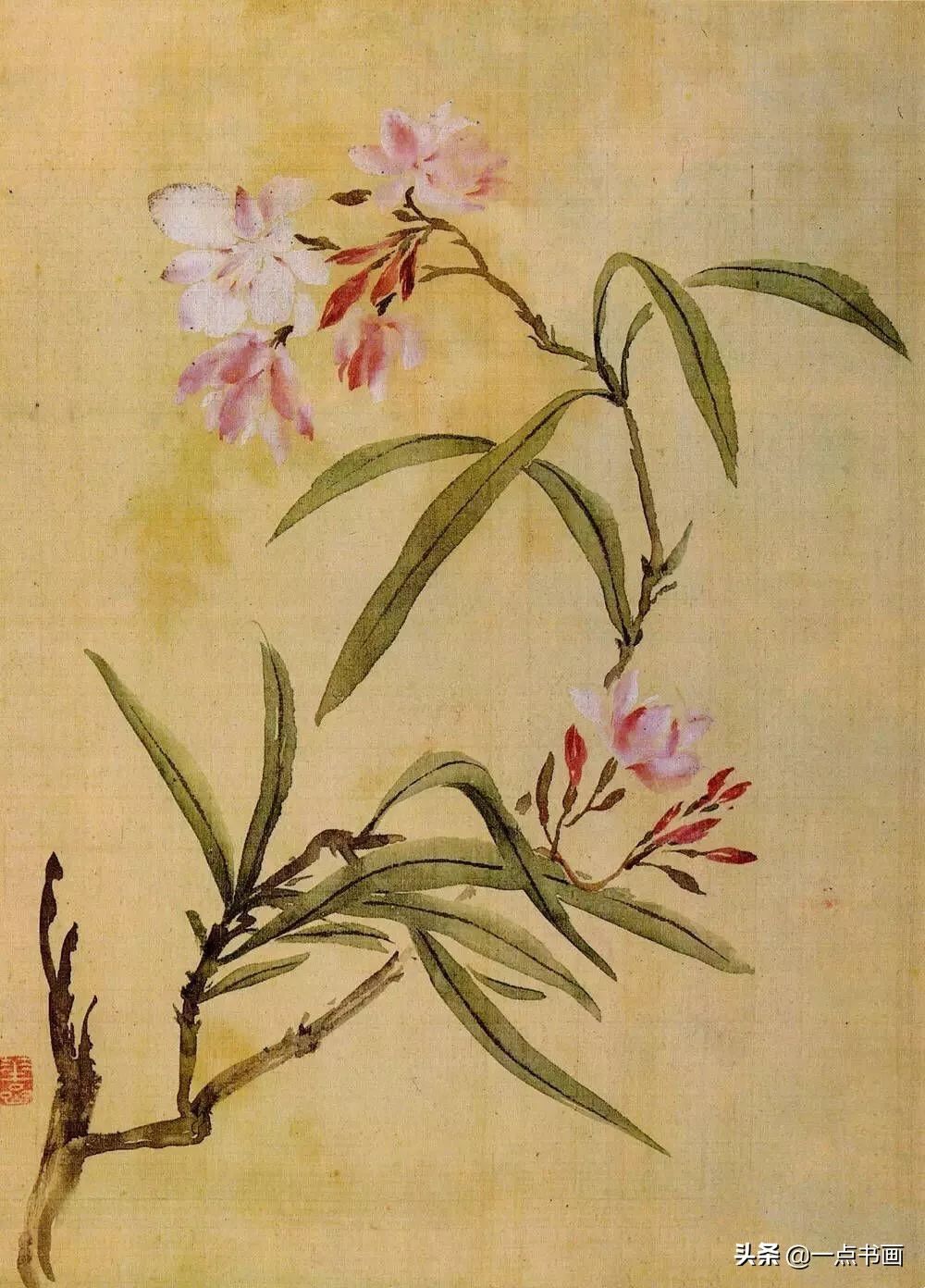 草虫&华岩的花鸟画,独辟蹊径,令人耳目一新