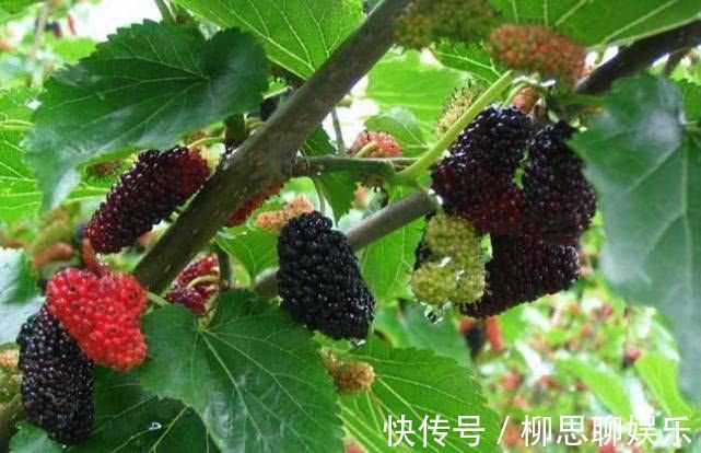 维生素女性想要气色好，推荐常吃几种食物，排毒抗衰老，越来越年轻