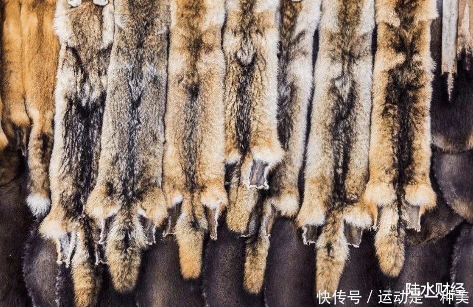 一年倒闭上千家企业,曾风靡全国的皮草,为何现在没人买了