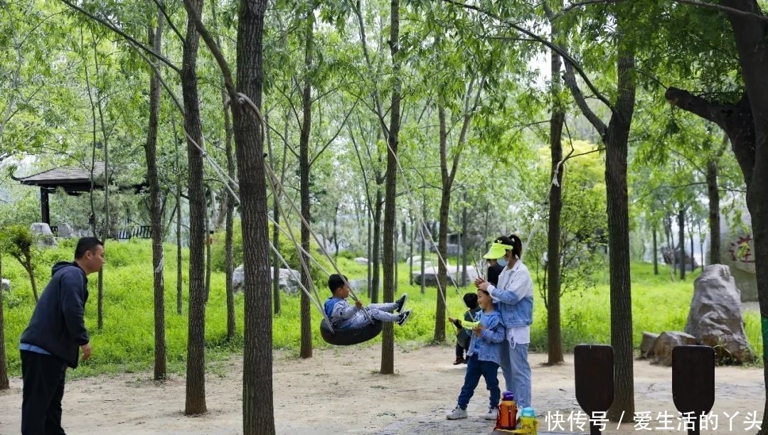 初夏将至，亲情永恒：带着孩子来运河湿地放飞心情