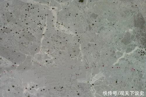 地砖|地砖被酸腐蚀变白怎么修复?