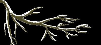  节气|【时事地理】立冬与冬至，你分得清吗？关于24节气你应该知道的地理考点