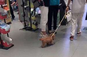 |搞笑GIF:看出来家庭地位了吧?