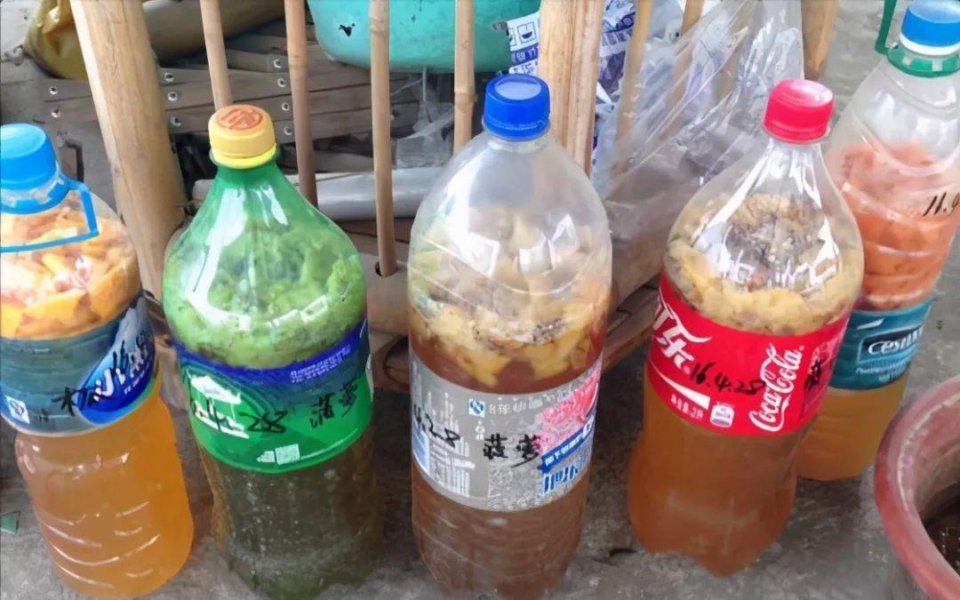 桔子皮是个宝,养花离不了,泡一泡做肥料,香味大酸性足,养花棒