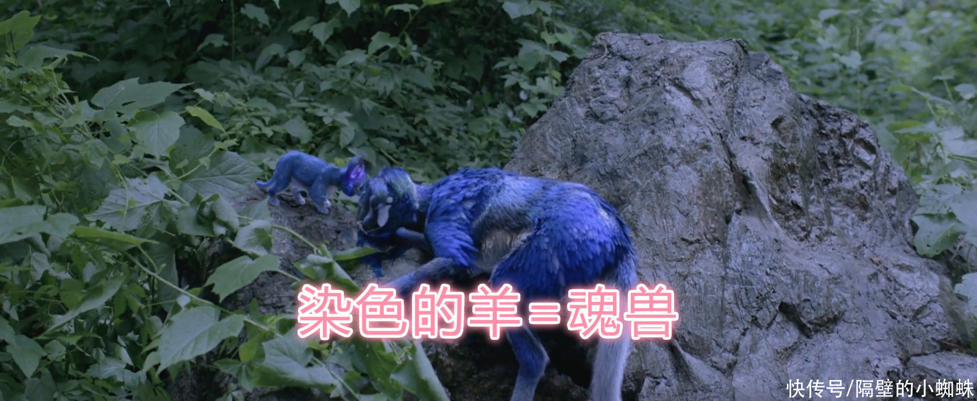 成龙大哥|新《斗罗真人版》来了！成龙演唐昊超霸气，唐三好帅，吊打肖战版