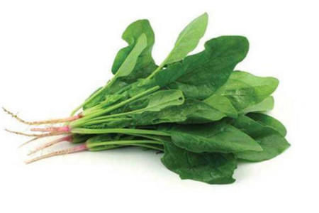 春分節(jié)氣多吃五種養(yǎng)生食物