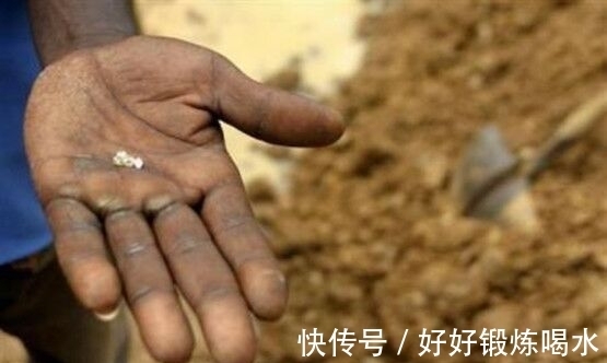 整天活|非洲有种“钻石草”,当地人称这是财富的来源