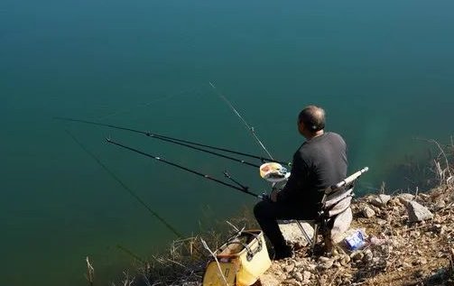 野钓不知道怎么合理搭配饵料，新手钓友进阶推荐，快来看看