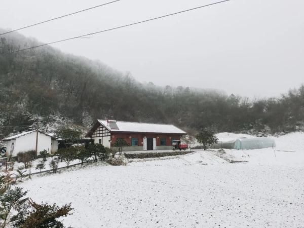 预报|什么？湖南真的下雪了？没错，就在这些地方→