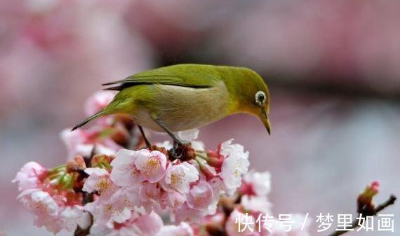 双子座|8月上旬远离灾祸，3星座迎横财大运，好运不断，生活顺顺利利！