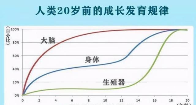 孩子|哈佛大学研究：孩子一生中变聪明的时机很短暂，家长千万不能错过