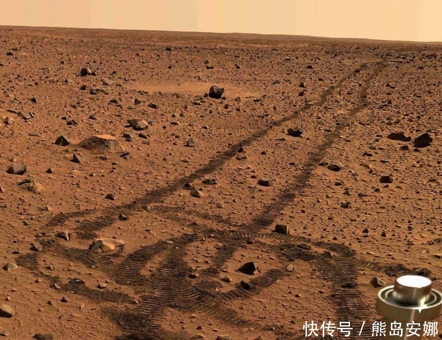 马斯克“外星移民梦”垮了?11名宇航员基因突变,生育后代风险大