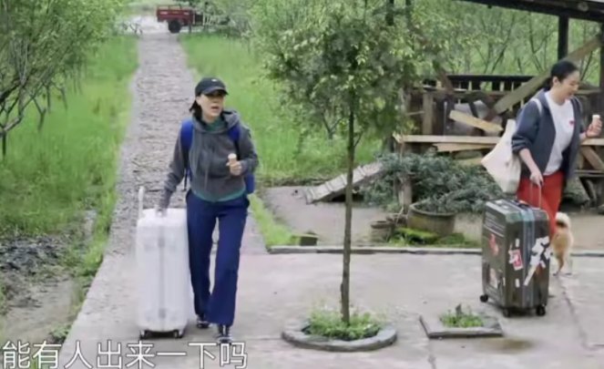 泥鳅|那英来蘑菇屋没架子，跳进水沟抓泥鳅，和陈赫李诞形成鲜明的对比