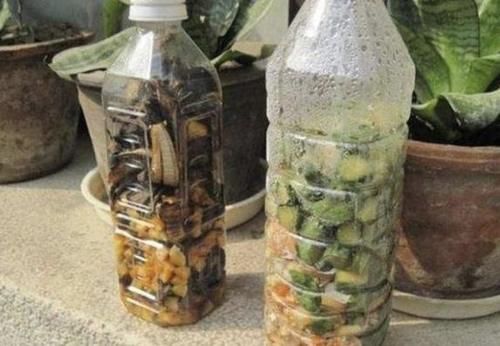  养花|自制肥水、腐叶土养花，既能多省钱又能养啥旺啥