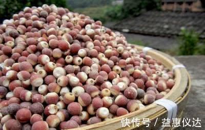 高血压|五六十年代，为什么人们每天吃腌咸菜，患高血压的人群却比较少？