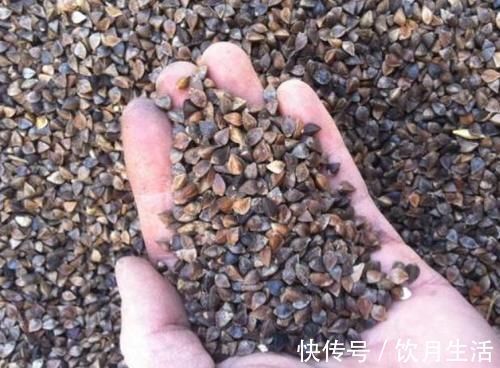 山药|医生建议：血糖高的人，这种粗粮尽量多吃，不妨了解一下