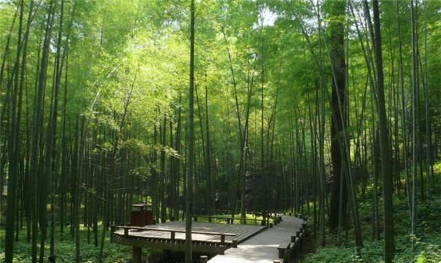 帝王@李商隐两首黄竹,是为了讽刺帝王吗?为什么我看到的是爱和悲伤