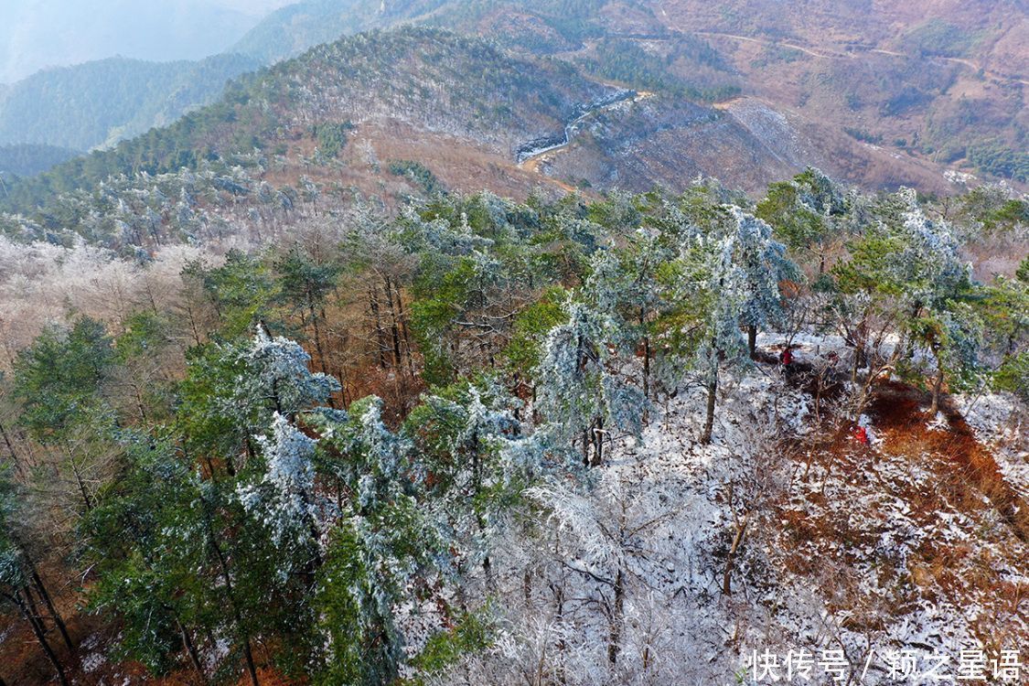 黄泥浆岗|宁波第二高峰，雪国风光，雾凇奇观