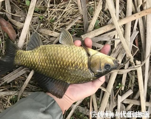 禁钓范围逐步扩大已是大势所趋,或将对钓鱼人、渔具业影响深远