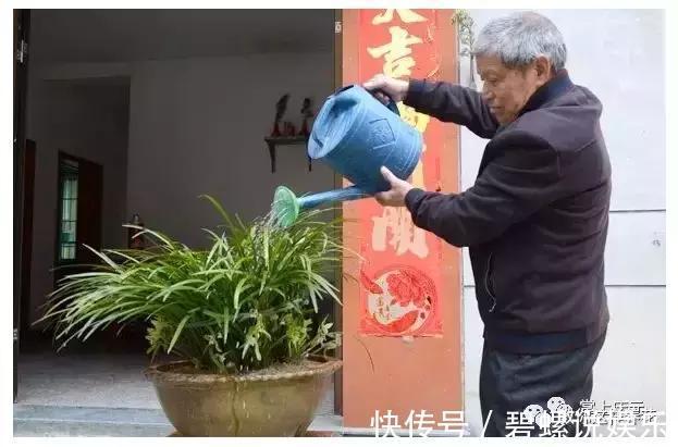 花花|20年的兰花，100年的仙人掌长什么样开眼了！