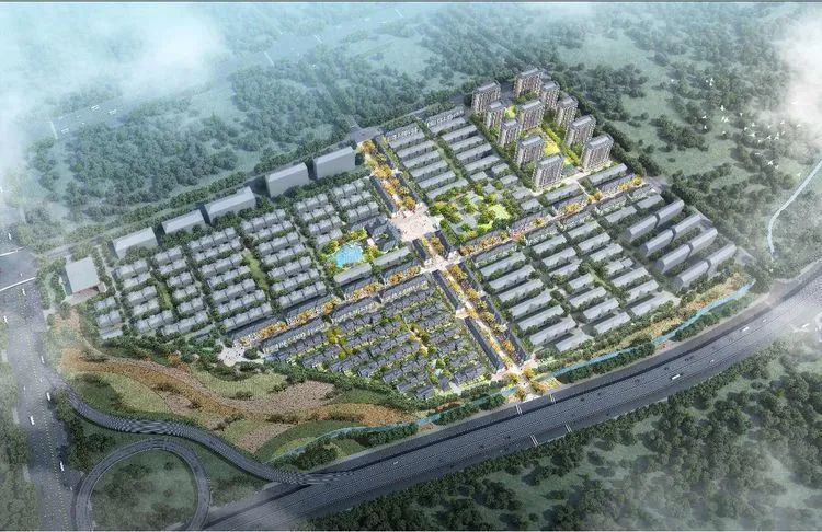 宅基地|投标!选位!义乌这个村有机更新…