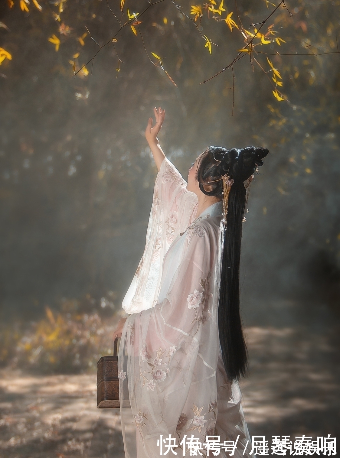 小楼|诗·十二首丨凉风多日筛斜雨，素月几时醉小楼？