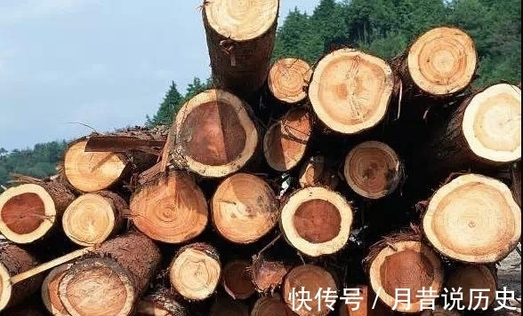 中国的这些最值钱的木头 你知道几个 快资讯