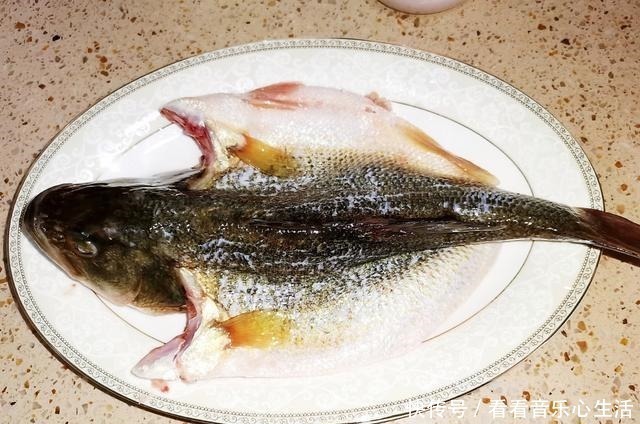 蒸鲈鱼时,不要抹盐和料酒,教你正确做法,鱼肉鲜嫩无腥味