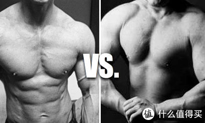 脂肪|干净增肌vs狂野增肌:哪种要更好?
