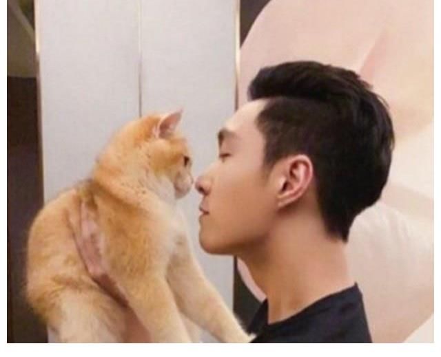 向往|张艺兴发长文告别《向往》：临走时做两件事，再加盟的可能很小