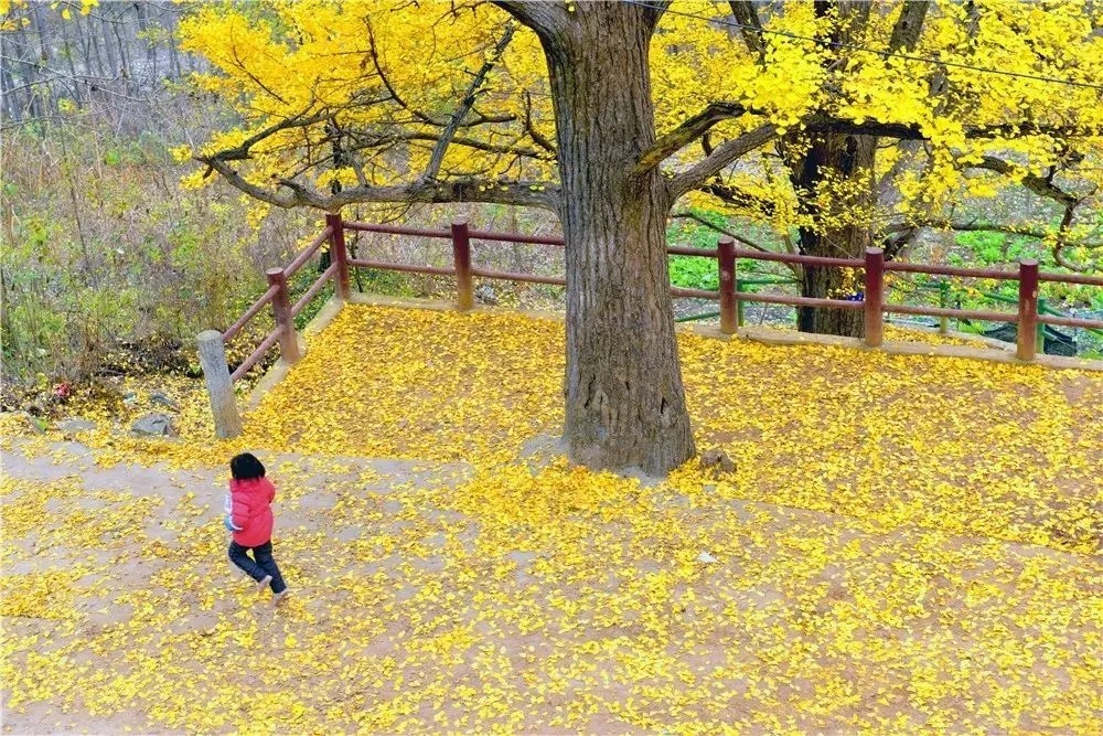 健康,是你最大的责任!