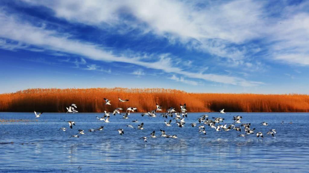 对不起|推荐丨对不起,别再找我,我要去阿拉善了