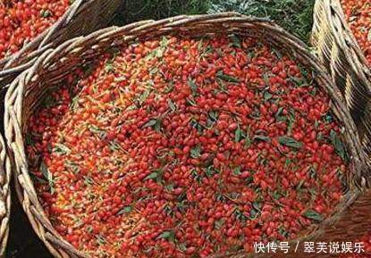 热水|用枸杞泡水时，到底用冷水还是热水原来一直泡错了，难怪没效果