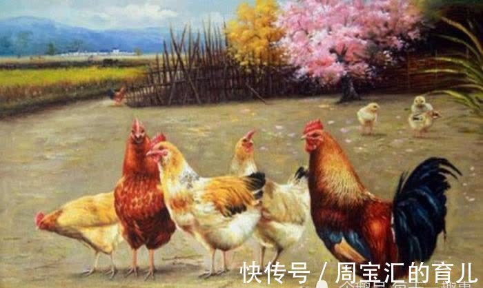 求财|属鸡人：什么时候最有钱？在哪个年龄段可开始发财？