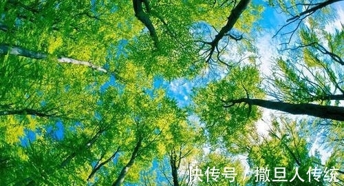 新韵#清减、通顺是手法,思维发散的引导与把握是文法——两首五绝改复