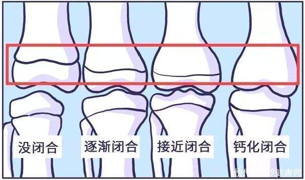 bmi|最佳儿童身高参照表,男孩女孩全都有,看看你家孩子合格没