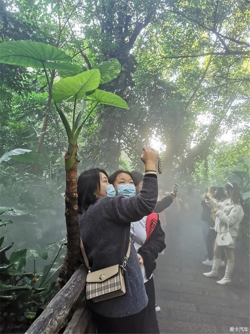 花海|厦门自由行