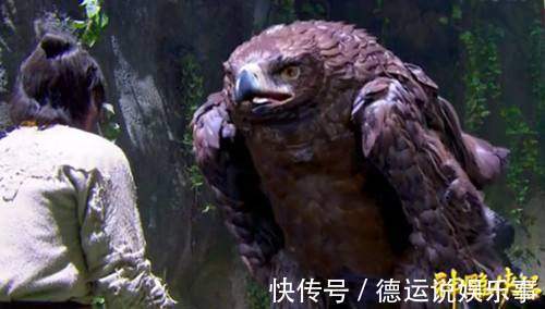 杨过&神雕熬死独孤求败,它还打算继续熬死杨过,神雕寿命为何这么长?