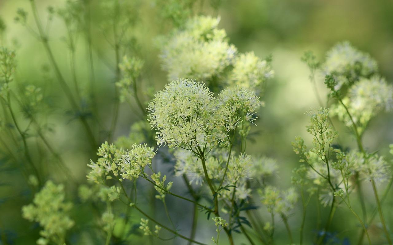 婆婆|坐月子时，婆婆催我要二胎：你能养的话，我再生一打