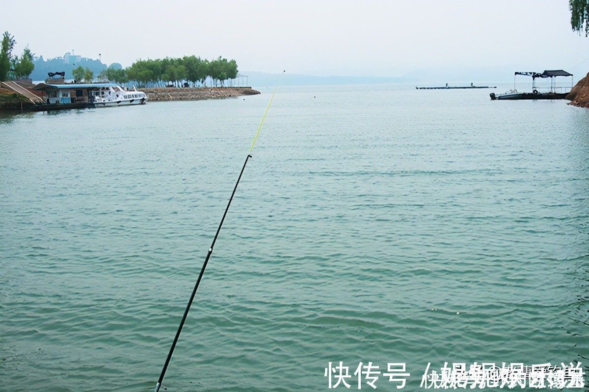 渔具|下杆须谨慎,不单用于黑坑提醒,水库同适用