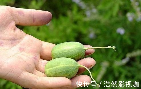 非物质文化遗产|外公一个小方法轻松解决，治疗风湿方法就在身边！