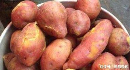 禁忌|让人倒下的不是病,是无知吃红薯的3大禁忌,别再明知故犯了