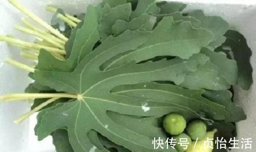 便秘|痔疮的“死对头”,只要每天吃一点,赶走痔疮不复发,便秘也没了