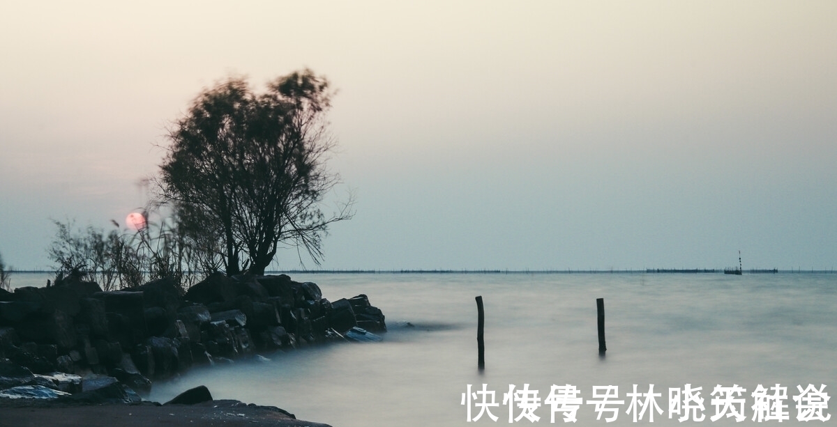 寂寞#《百年孤独》中经典10句话,是人生的真实写照,一生至少要读一次