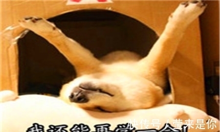 |幽默笑话:一个小姑娘家家的,学什么不好,学会撩人了!