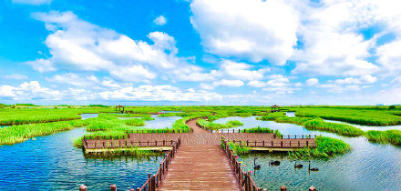 南大港湿地风景美如画|好景推荐 | 风景