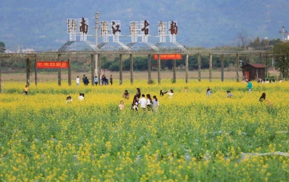 就地发掘新年味，云浮本地游成为新年俗